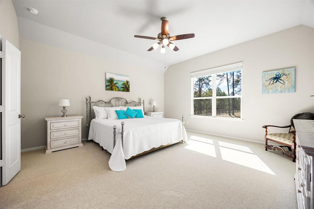 16338 Ellis Street, Conroe, Texas image 22