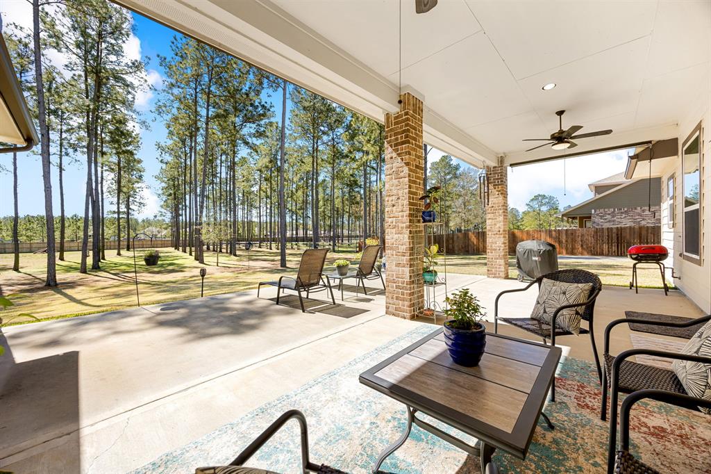 16338 Ellis Street, Conroe, Texas image 37