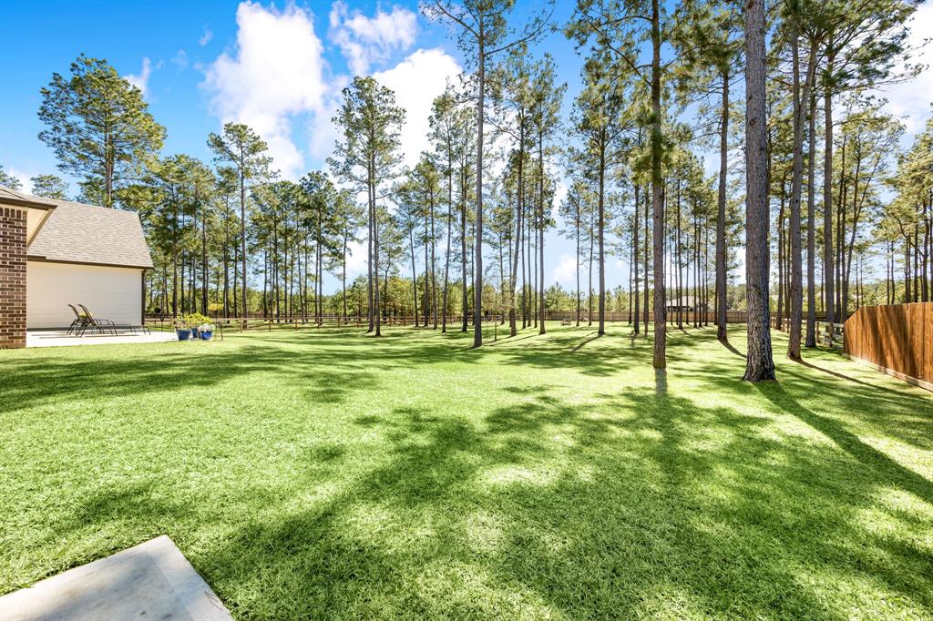 16338 Ellis Street, Conroe, Texas image 38