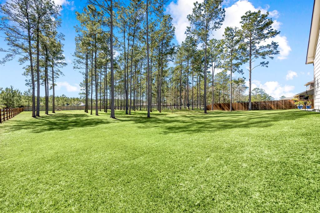 16338 Ellis Street, Conroe, Texas image 41