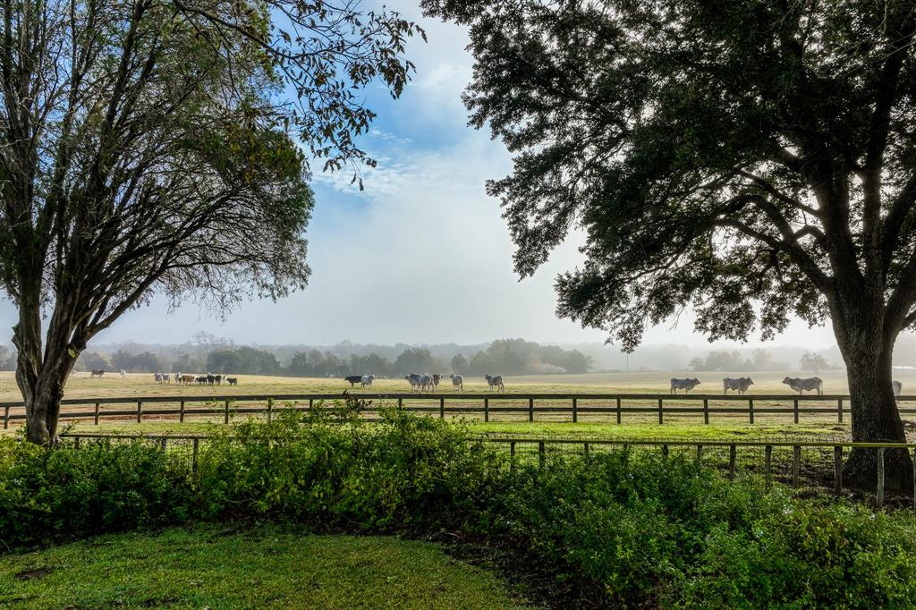 1518 Bluebonnet Ridge Dr, Chappell Hill, Texas image 11