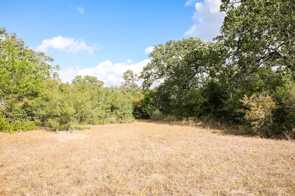 TBD County Road 132, Hallettsville, Texas image 23