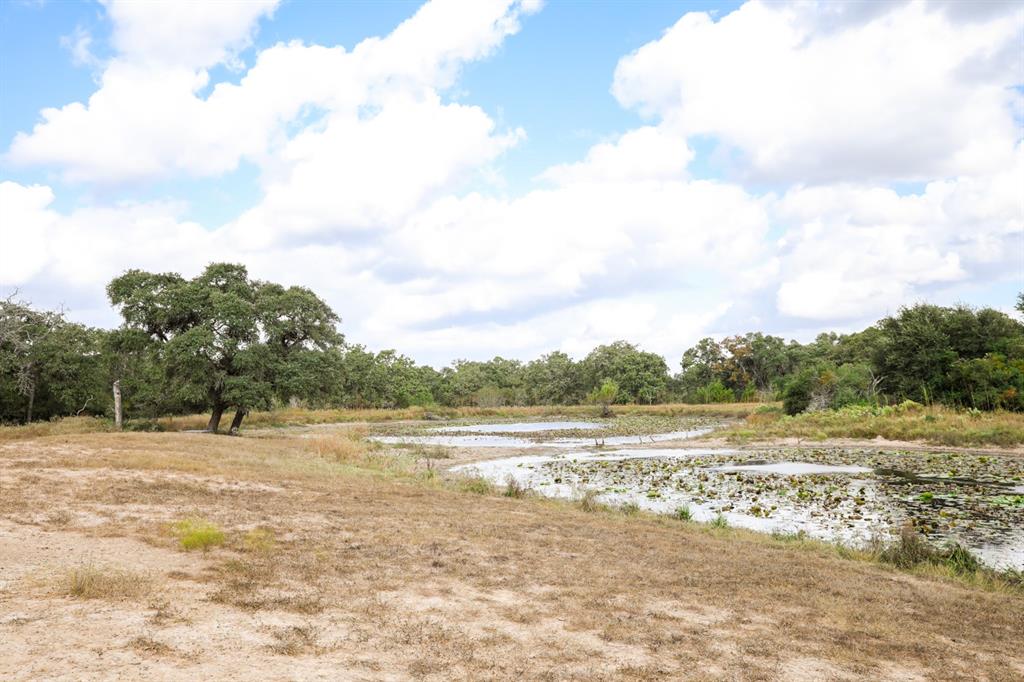 TBD County Road 132, Hallettsville, Texas image 24