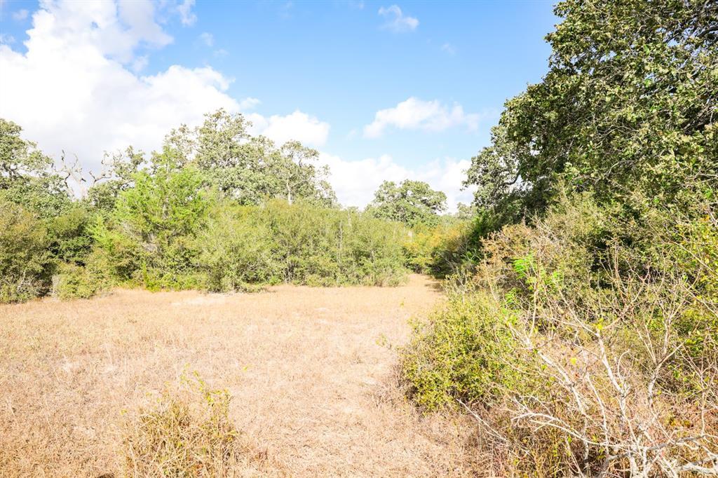 TBD County Road 132, Hallettsville, Texas image 16