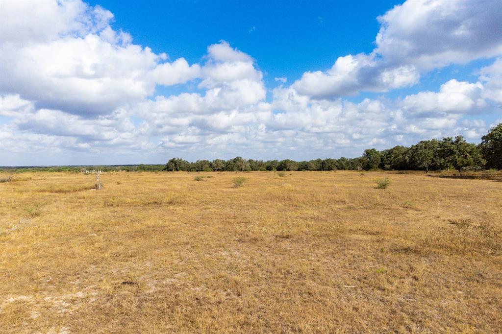 TBD County Road 132, Hallettsville, Texas image 25