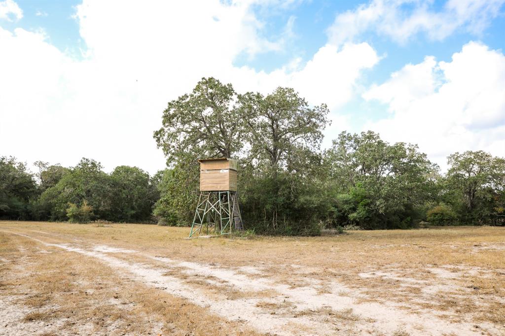 TBD County Road 132, Hallettsville, Texas image 11