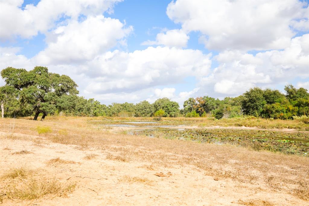 TBD County Road 132, Hallettsville, Texas image 13