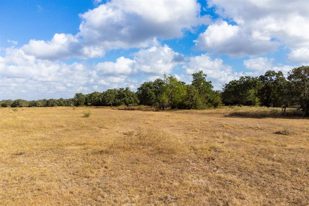 TBD County Road 132, Hallettsville, Texas image 21