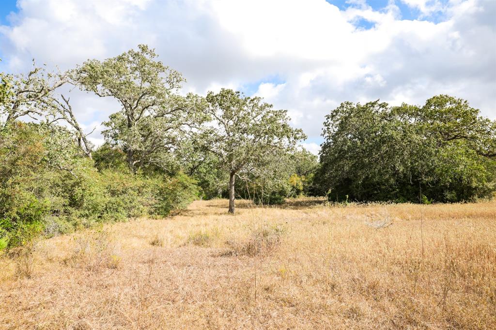 TBD County Road 132, Hallettsville, Texas image 7