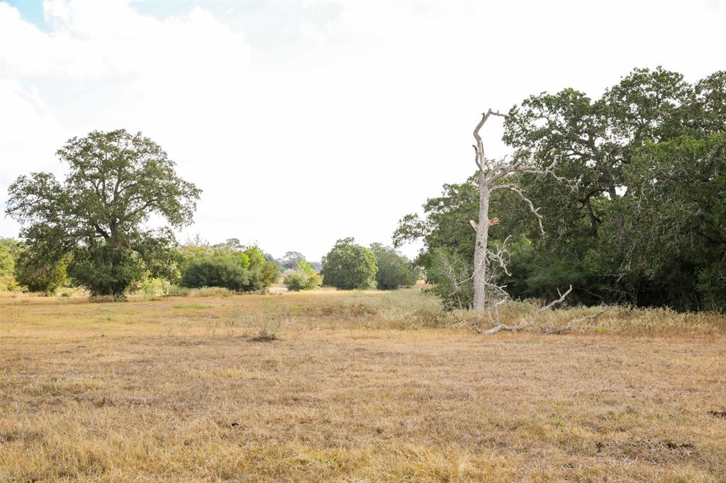 TBD County Road 132, Hallettsville, Texas image 26