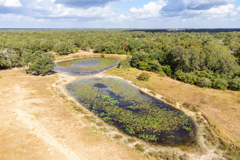 TBD County Road 132, Hallettsville, Texas image 5