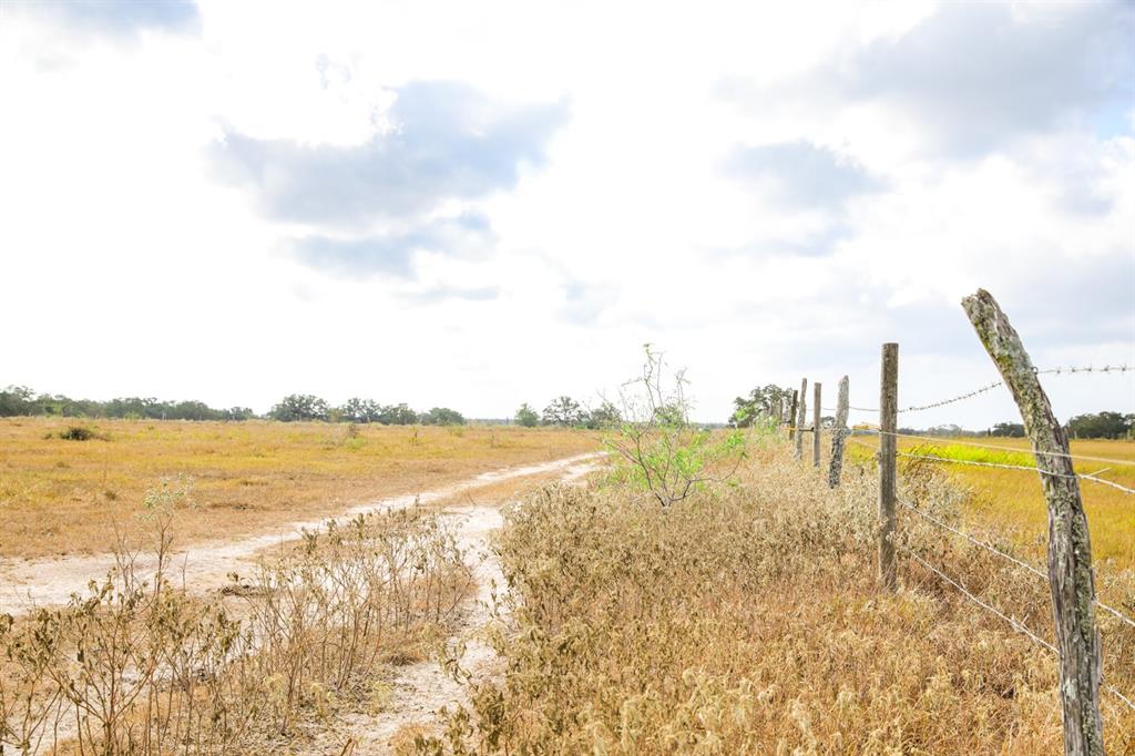 TBD County Road 132, Hallettsville, Texas image 17