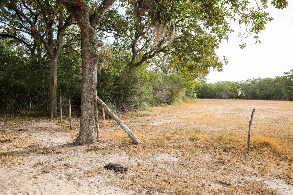 TBD County Road 132, Hallettsville, Texas image 14