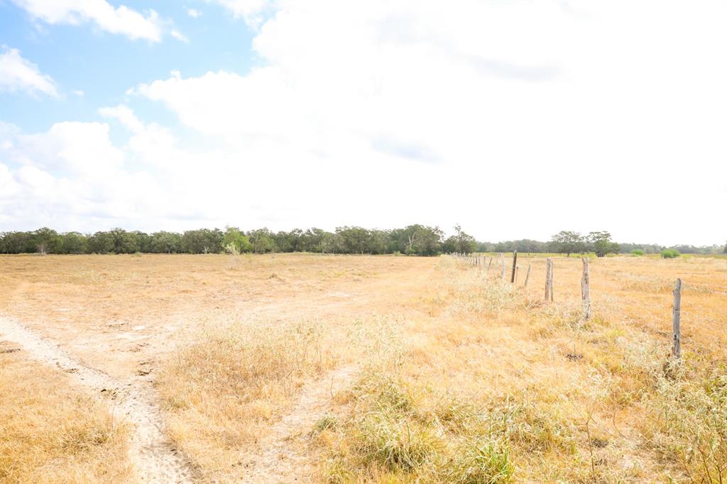 TBD County Road 132, Hallettsville, Texas image 6