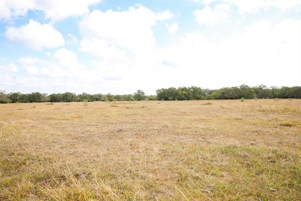 TBD County Road 132, Hallettsville, Texas image 12