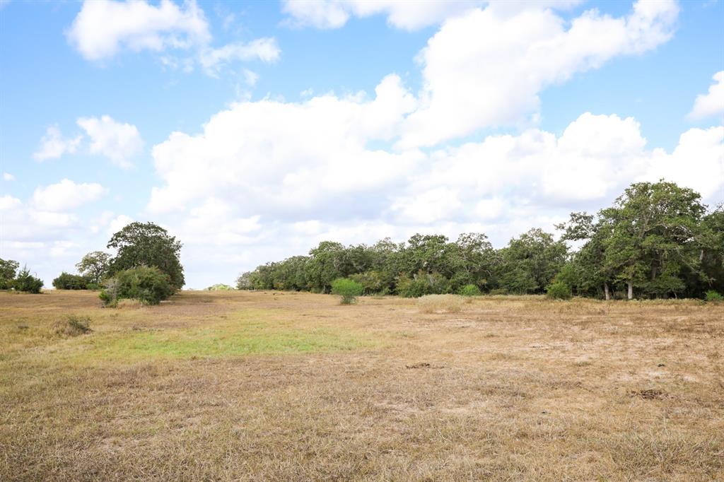 TBD County Road 132, Hallettsville, Texas image 27