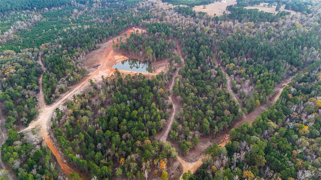 0000 Anderson Cr 153 Road, Palestine, Texas image 2