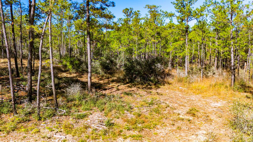 0310 Magnolia Ranch Road, Onalaska, Texas image 9