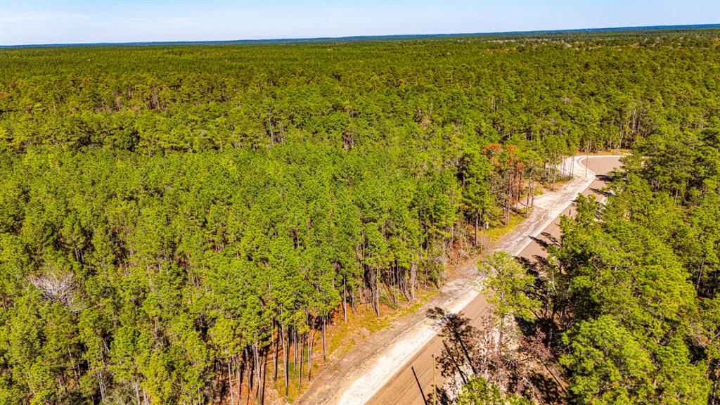 0310 Magnolia Ranch Road, Onalaska, Texas image 6