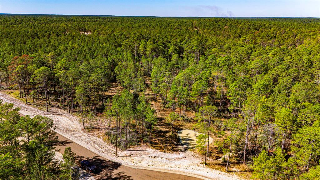 0310 Magnolia Ranch Road, Onalaska, Texas image 13