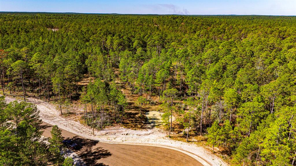 0310 Magnolia Ranch Road, Onalaska, Texas image 12