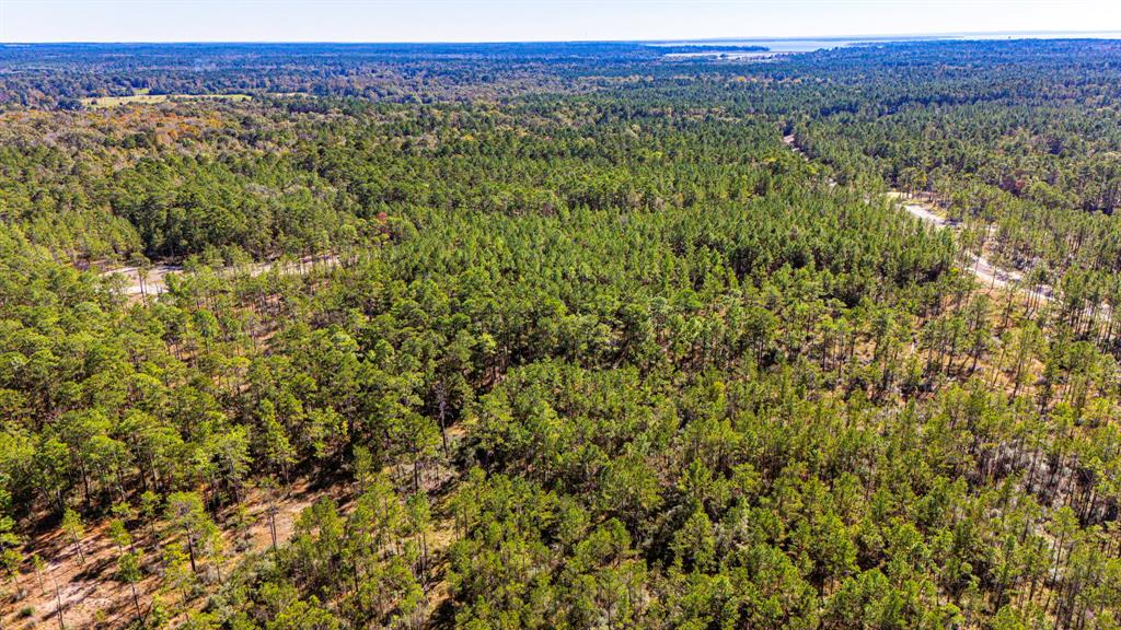 0310 Magnolia Ranch Road, Onalaska, Texas image 18