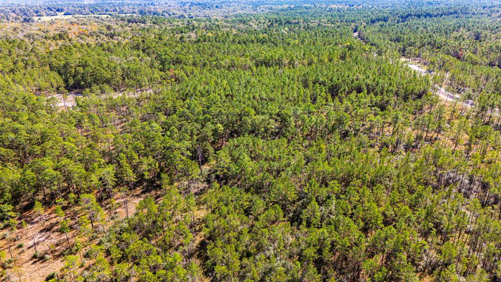 0310 Magnolia Ranch Road, Onalaska, Texas image 17