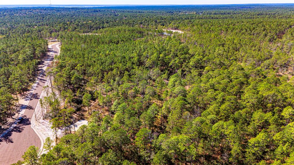 0310 Magnolia Ranch Road, Onalaska, Texas image 16