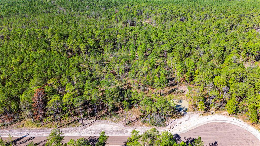 0310 Magnolia Ranch Road, Onalaska, Texas image 14