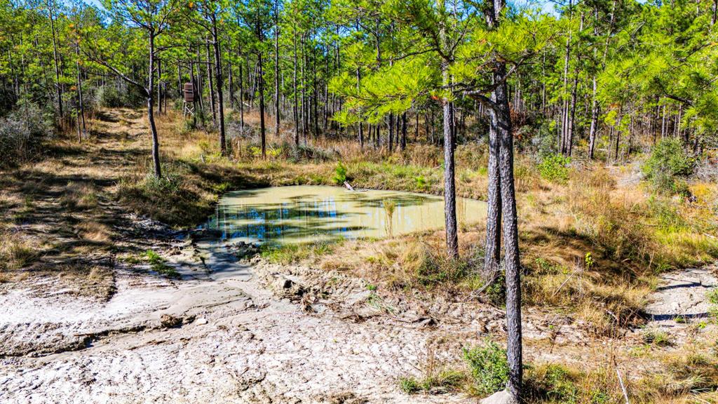 0310 Magnolia Ranch Road, Onalaska, Texas image 3