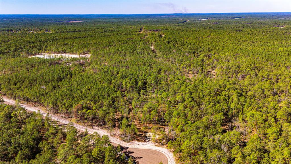 0310 Magnolia Ranch Road, Onalaska, Texas image 11