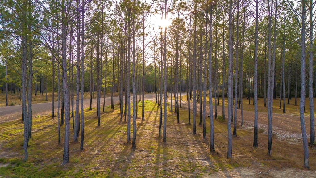 0310 Magnolia Ranch Road, Onalaska, Texas image 20