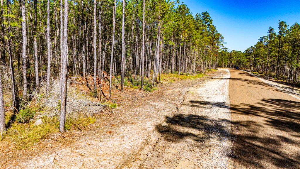 0310 Magnolia Ranch Road, Onalaska, Texas image 8