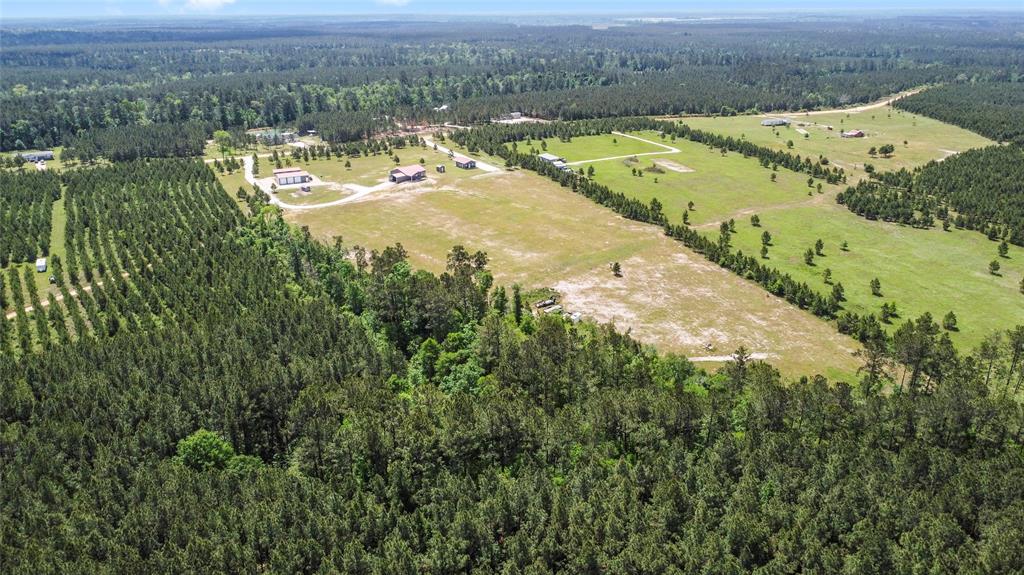 835 Stutts Hill Road, Livingston, Texas image 48