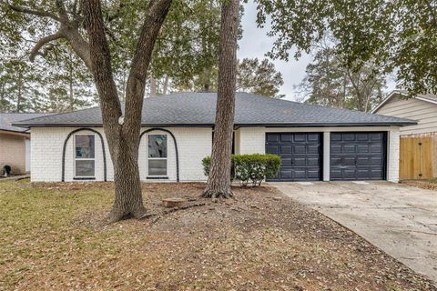 23115 Lestergate Drive Spring TX 77373