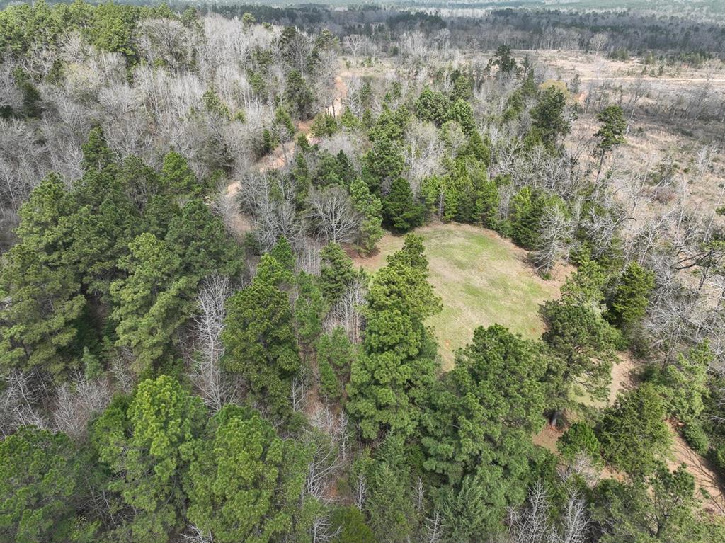 000 Cr 2317, Alto, Texas image 14