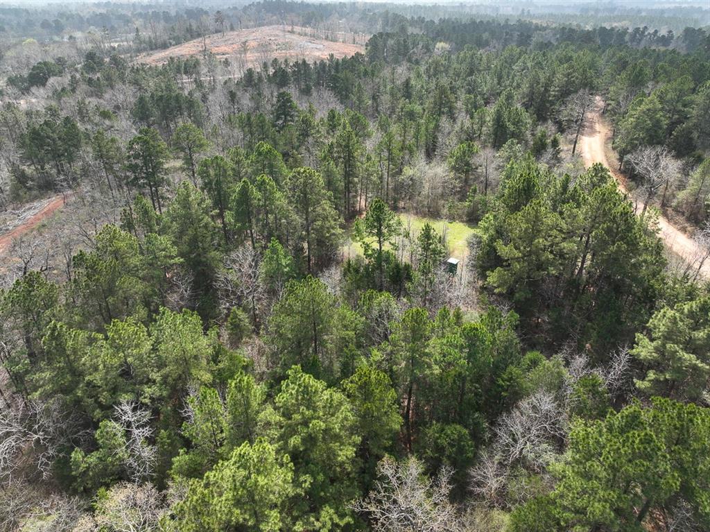 000 Cr 2317, Alto, Texas image 13
