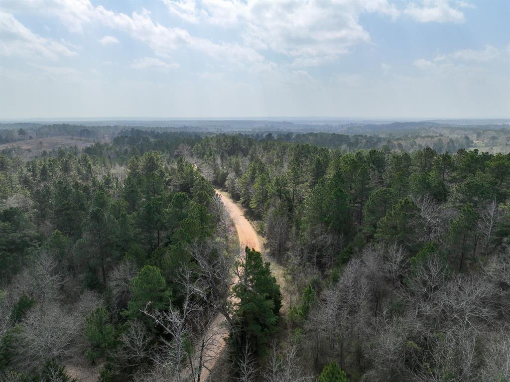 000 Cr 2317, Alto, Texas image 1