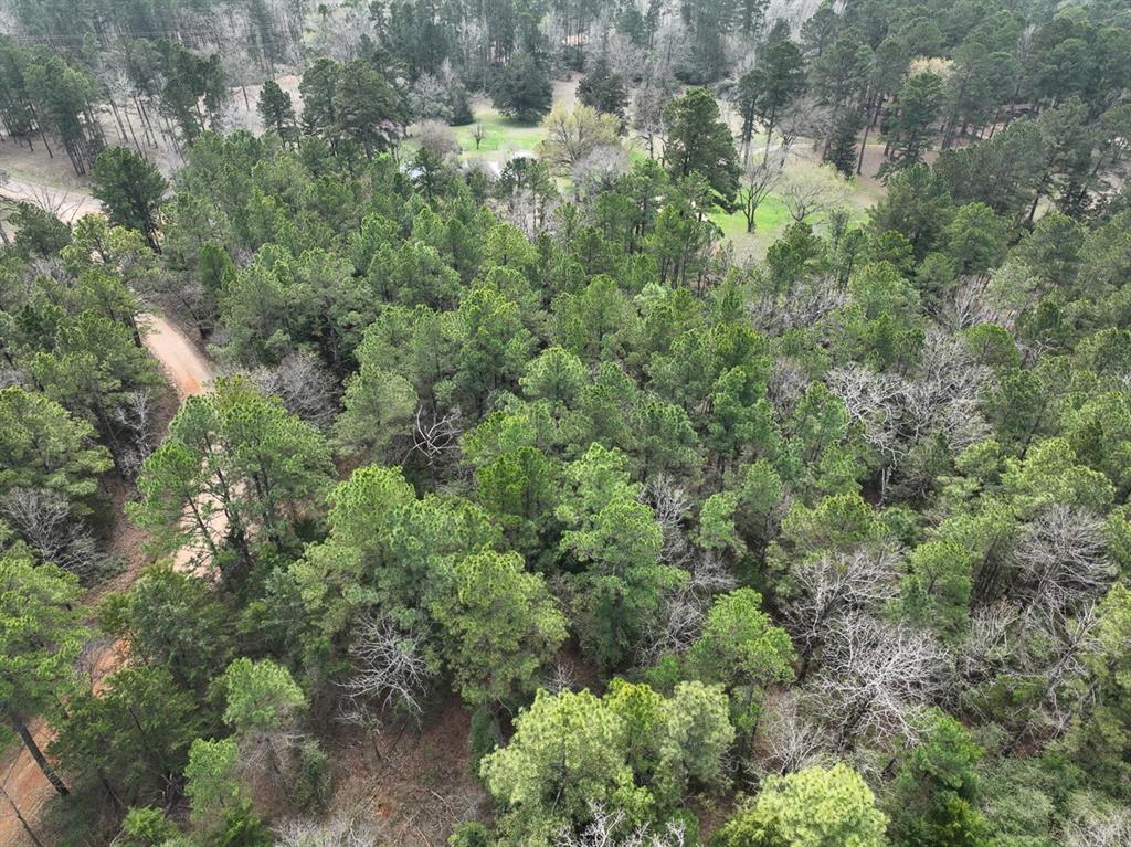000 Cr 2317, Alto, Texas image 9
