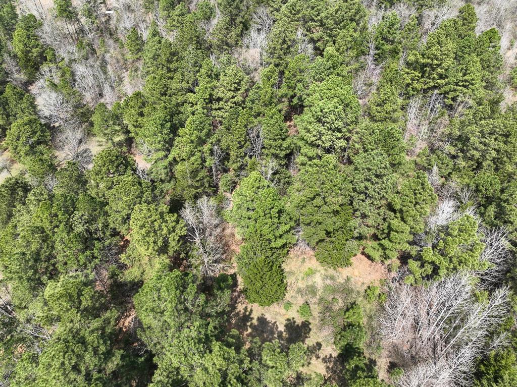 000 Cr 2317, Alto, Texas image 2