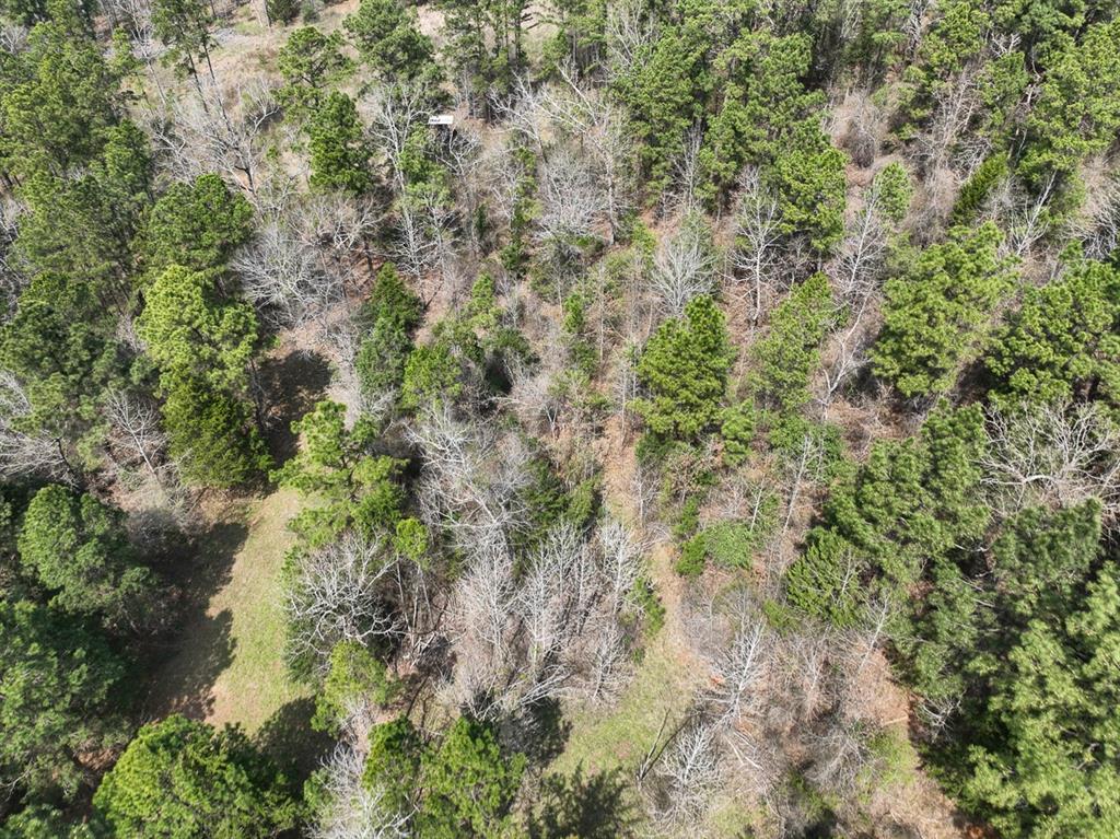 000 Cr 2317, Alto, Texas image 4