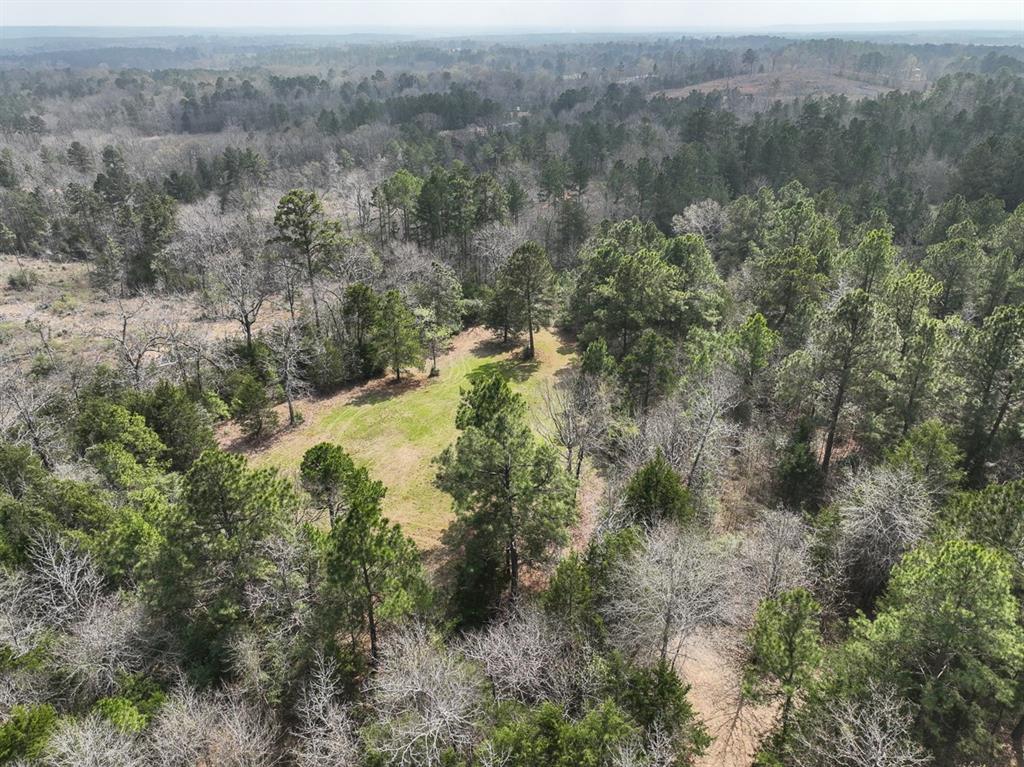 000 Cr 2317, Alto, Texas image 12