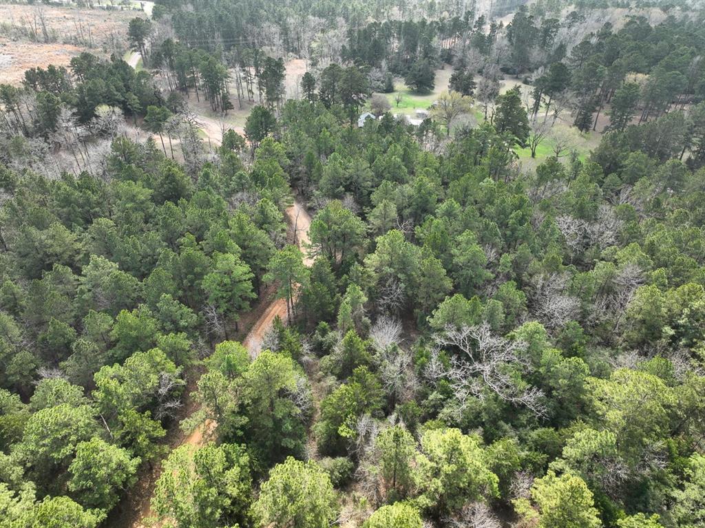 000 Cr 2317, Alto, Texas image 6
