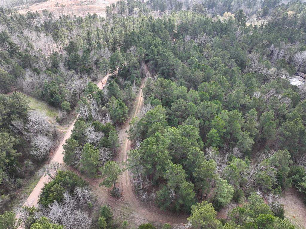 000 Cr 2317, Alto, Texas image 5