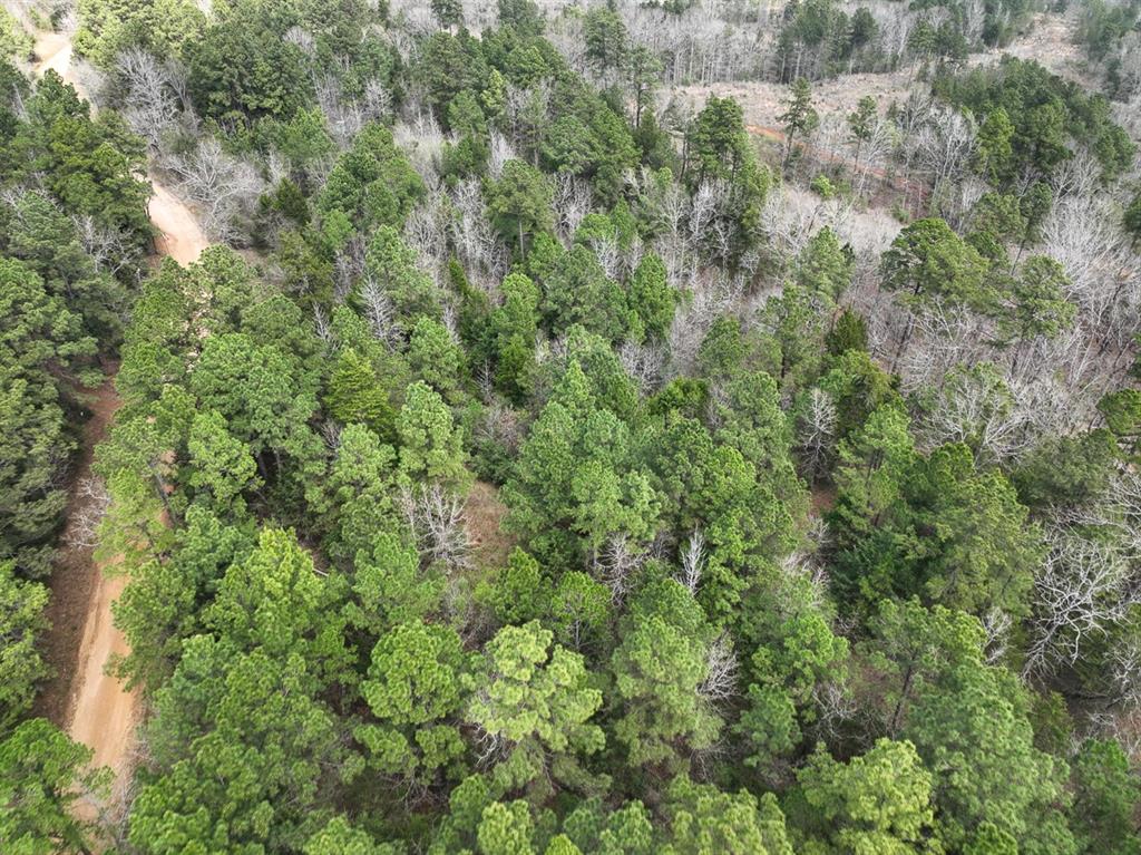 000 Cr 2317, Alto, Texas image 10