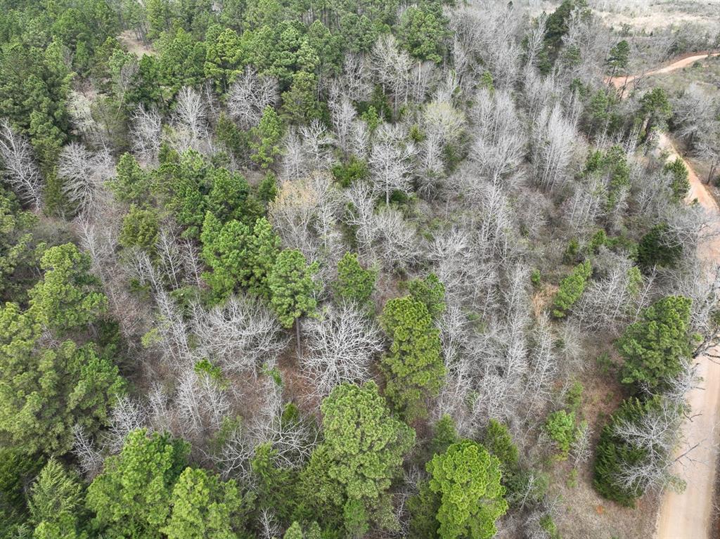 000 Cr 2317, Alto, Texas image 7