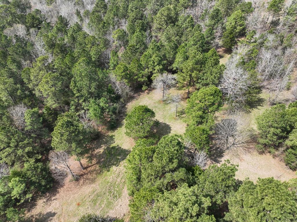 000 Cr 2317, Alto, Texas image 3
