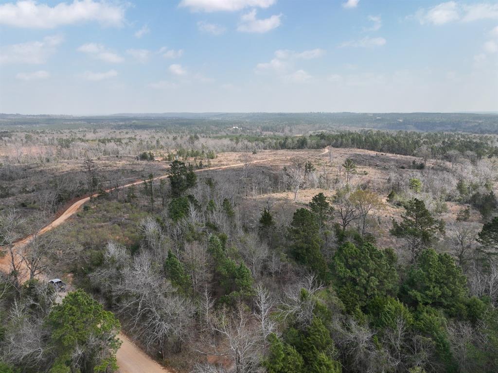 000 Cr 2317, Alto, Texas image 11