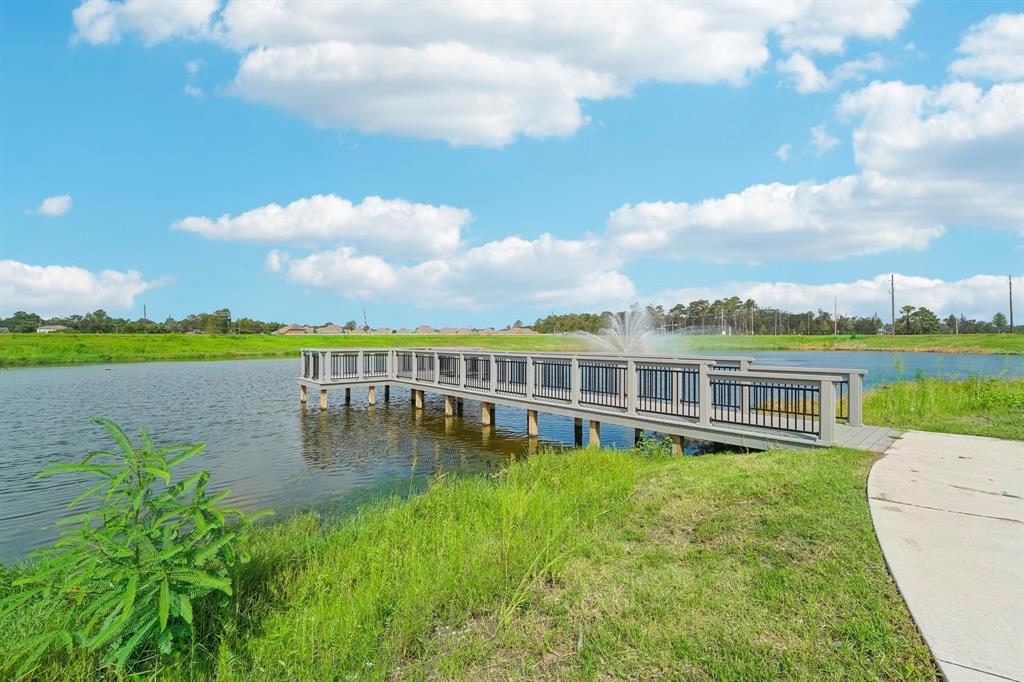 17723 Birchwood Hills Drive, Crosby, Texas image 22