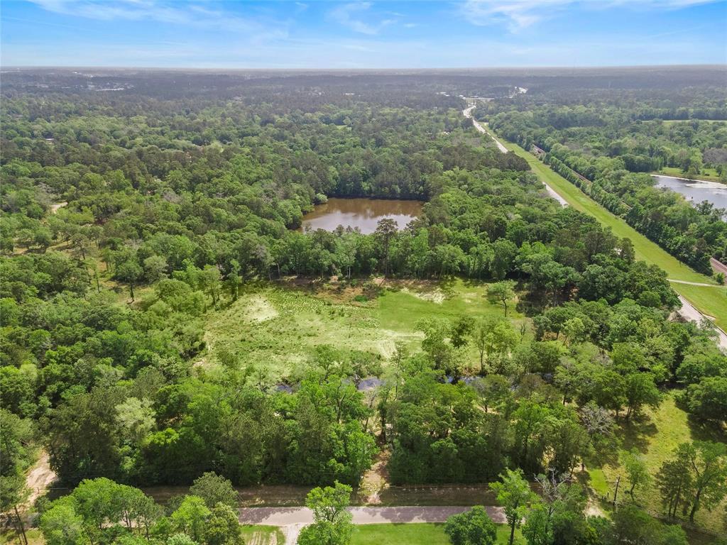 8375 Allen Drive, Conroe, Texas image 10